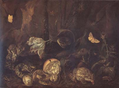 SCHRIECK, Otto Marseus van Still Life with Insects and Amphibians (mk14)